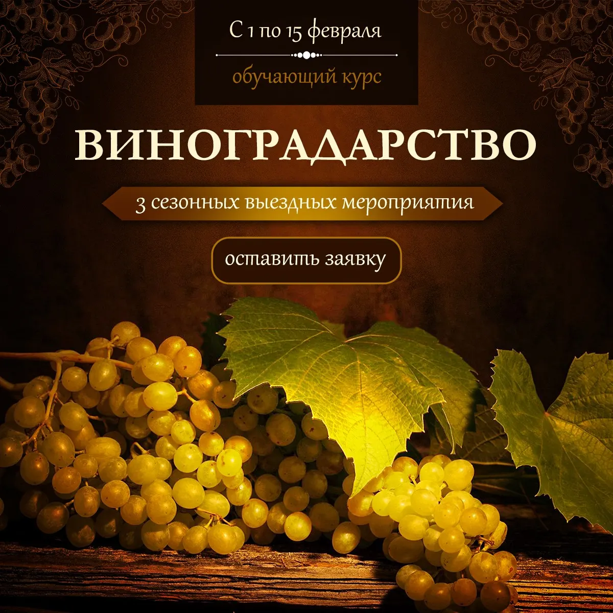 Медиареклама