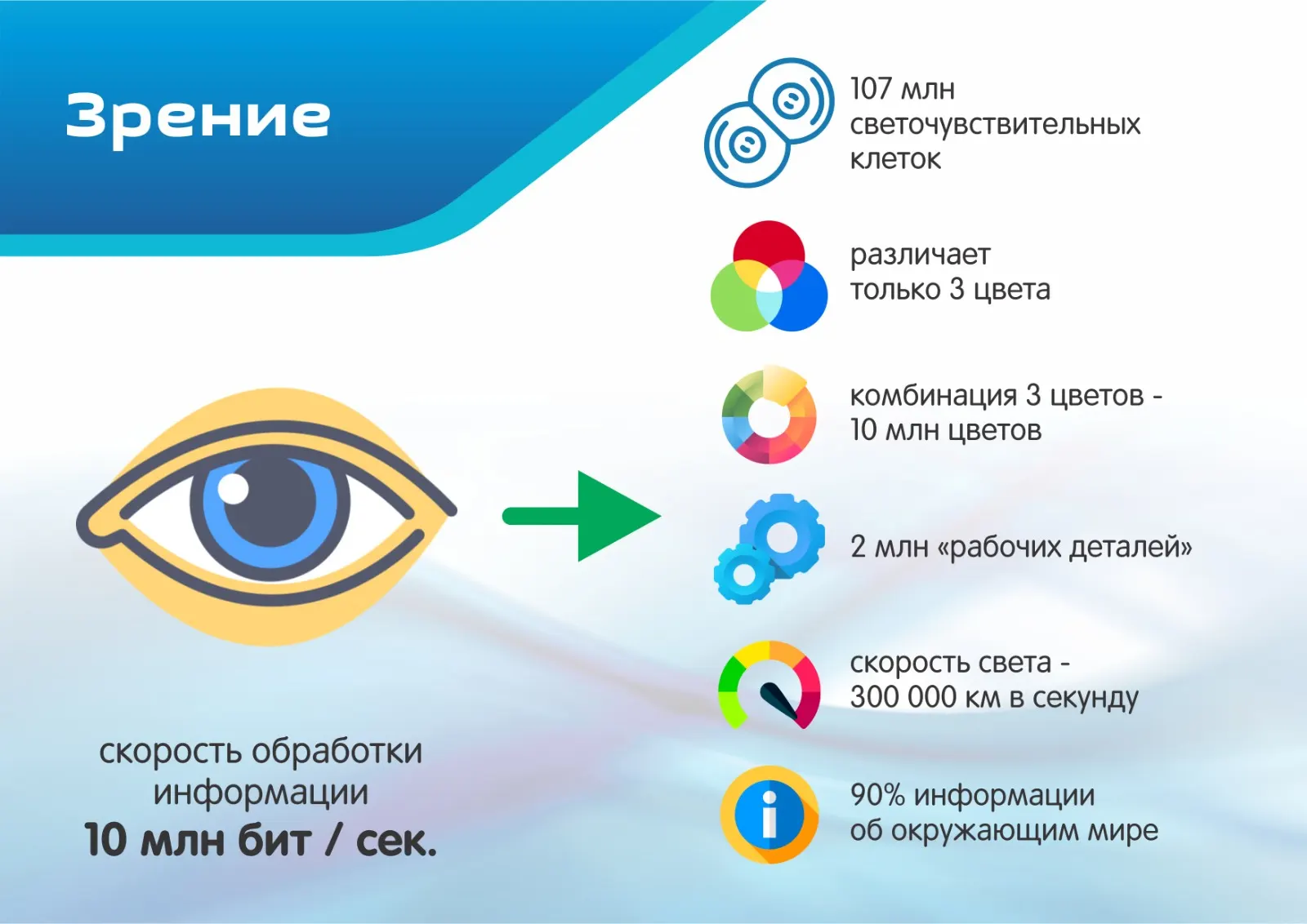 Презентации