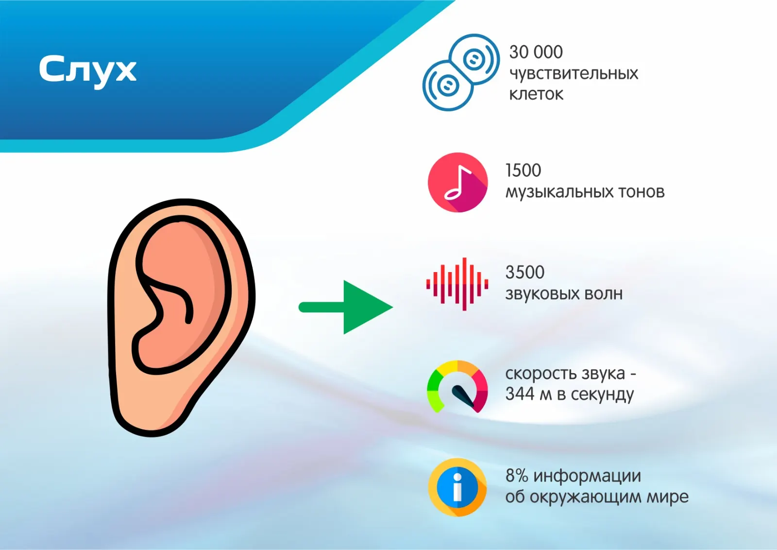 Презентации