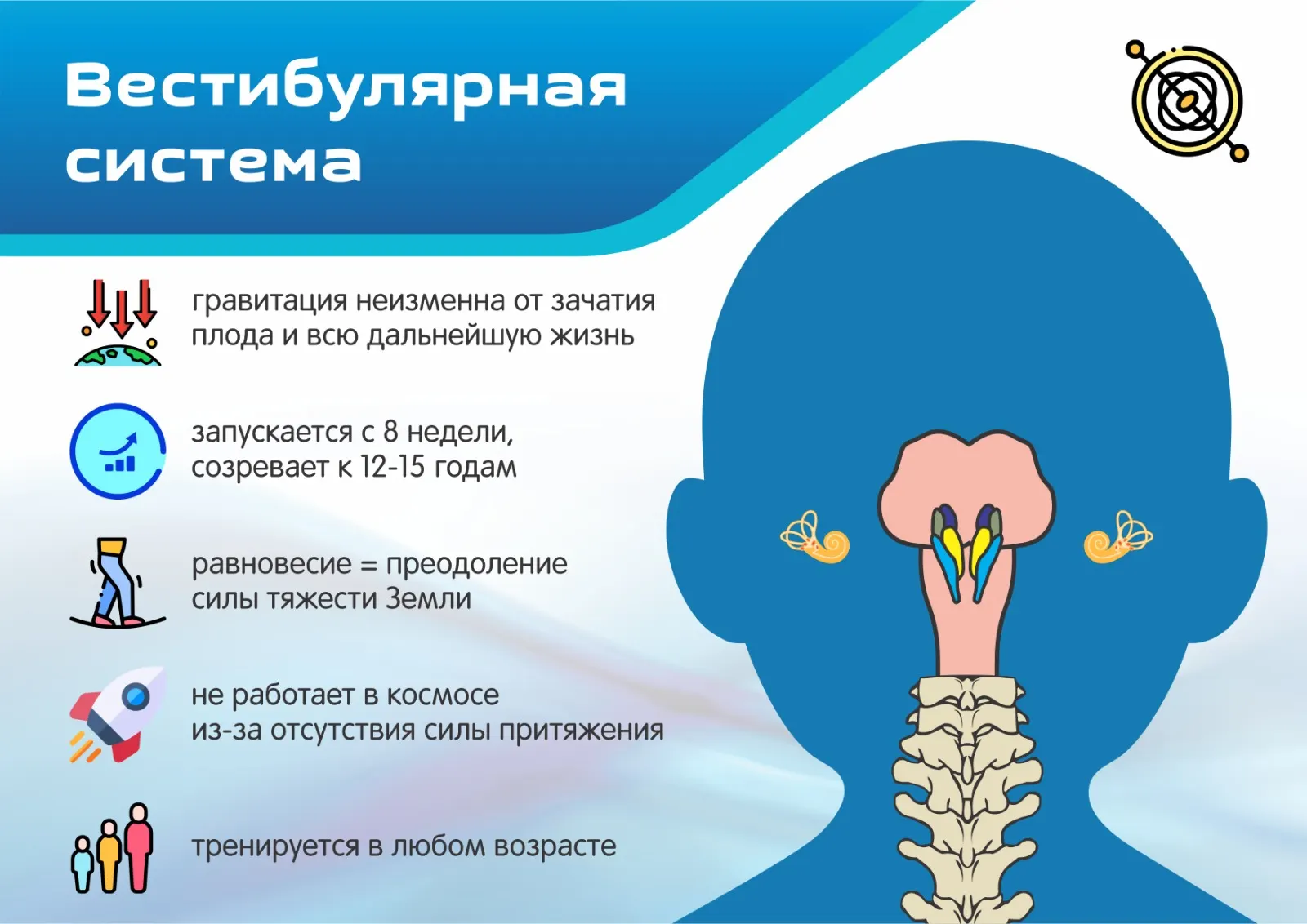Презентации
